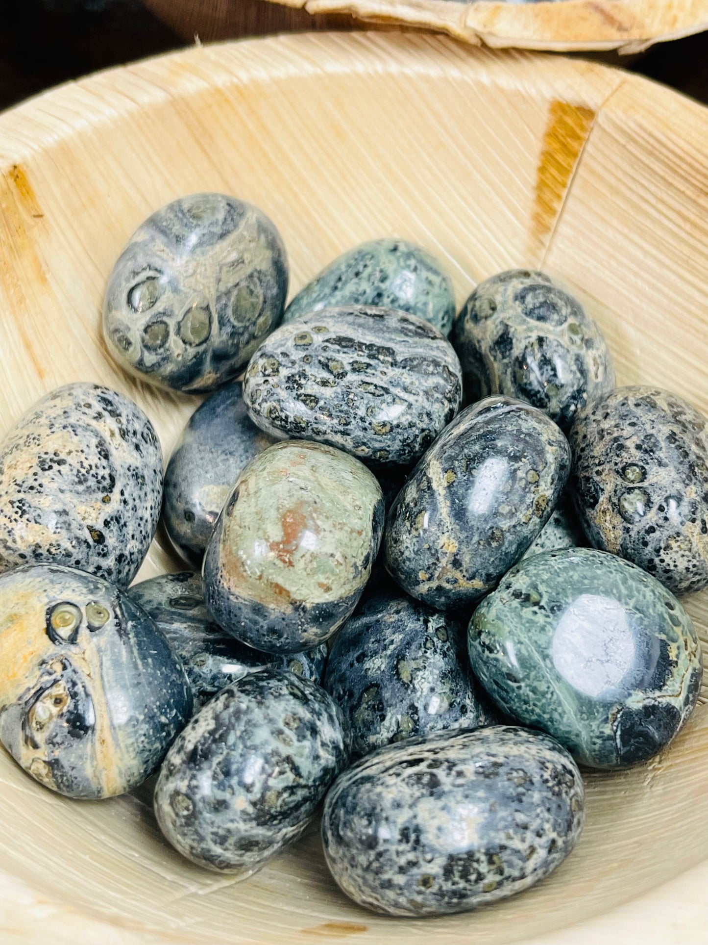 Kambaba Jasper Tumbles