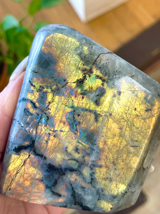 Labradorite “Lisa Frank”