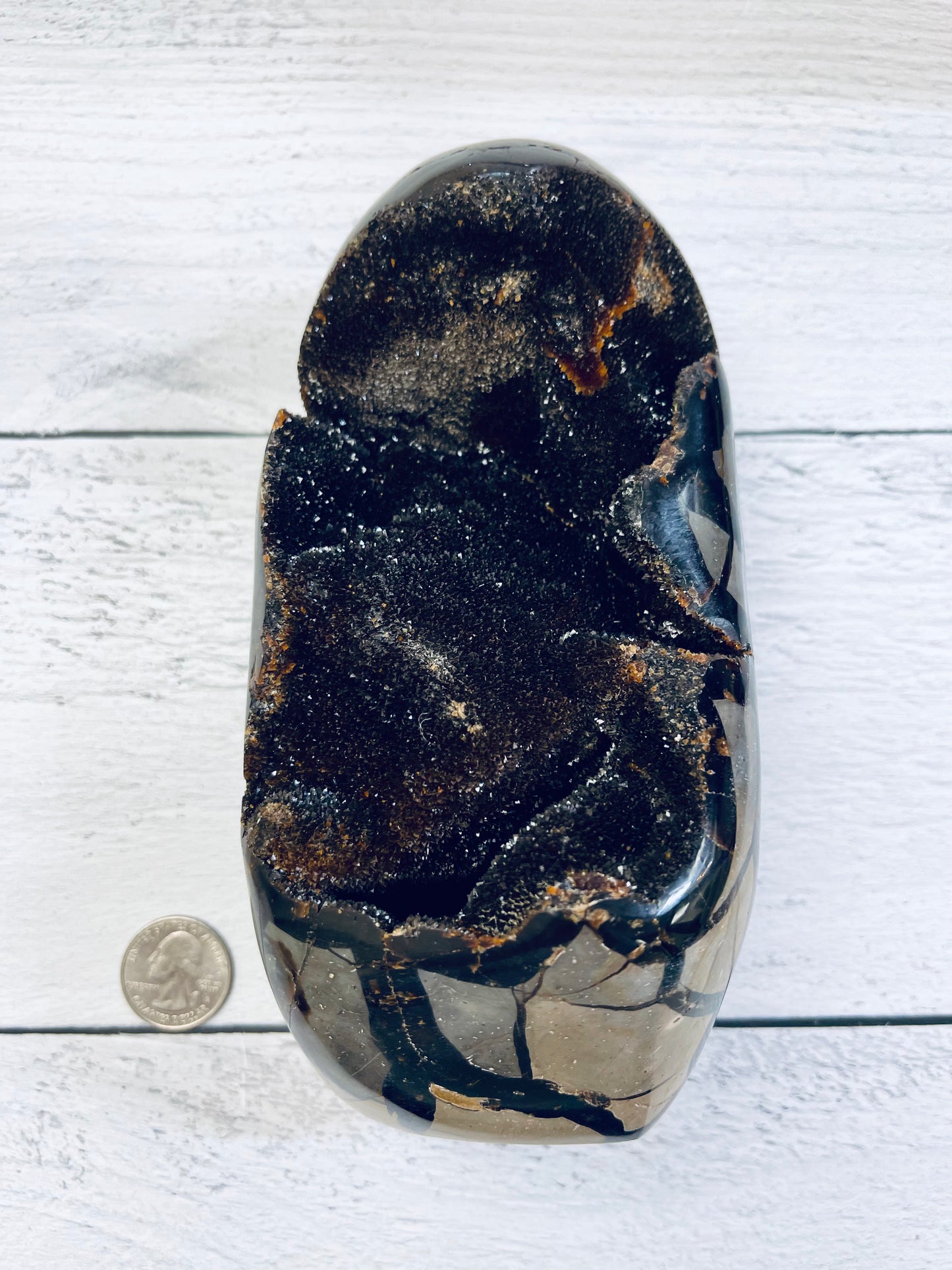 Septarian Geode Egg (L)