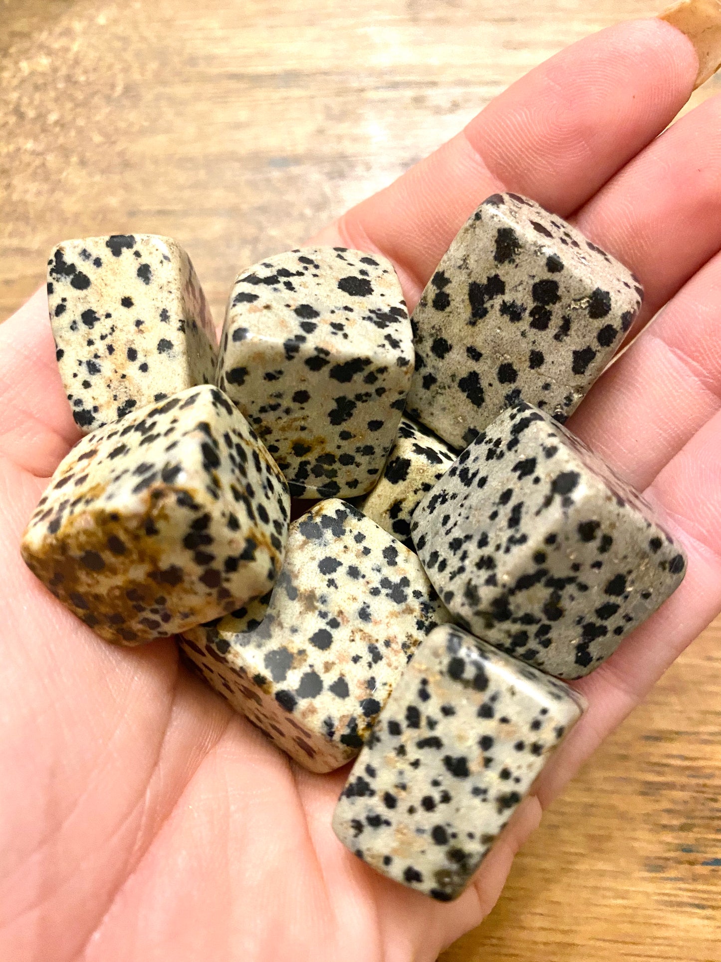 Dalmatian Jasper cubes